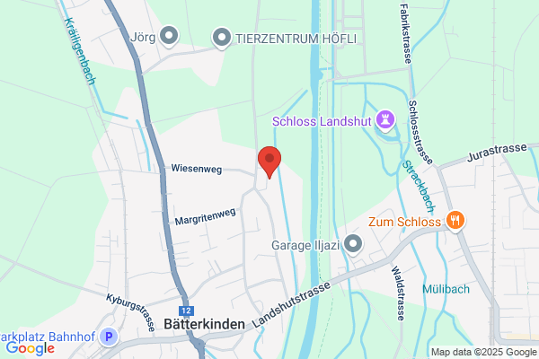 Zumbrunnen Tankreinigungs AG