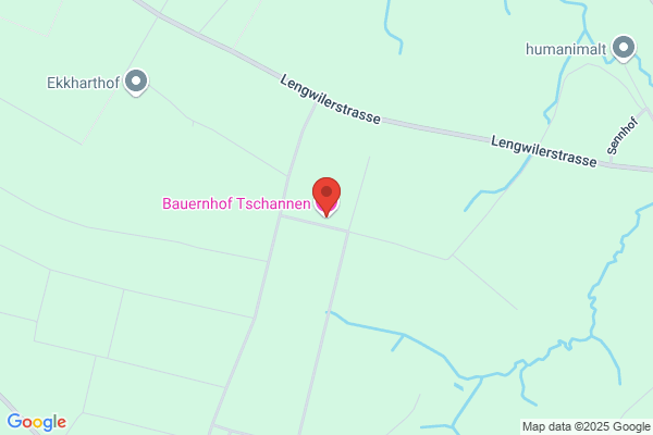 AllianCat Tschannen