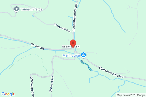 Steiner Group AG